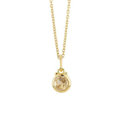 November Birthstone Charm Necklace in Gold
