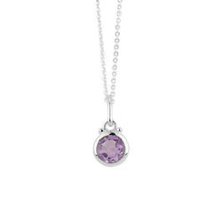 February Birthstone Charm Necklace in Silver