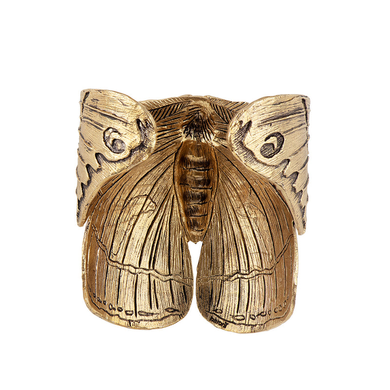 Atlas Moth Cuff in Bronze