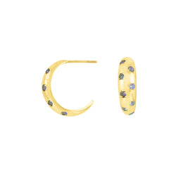 Starlight Studded Earrings in Gold & Labradorite