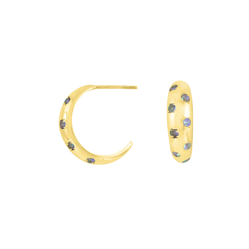 Starlight Studded Earrings in Gold & Labradorite