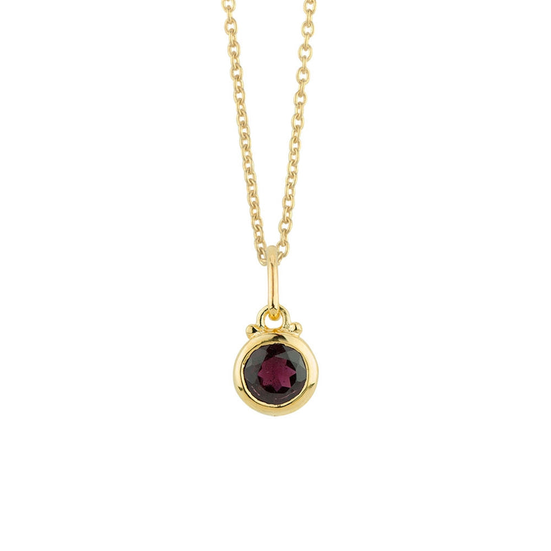 January Birthstone Charm Necklace in Gold